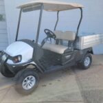 2023 Hauler Pro ELiTE - Cushman - Golf Carts For Sale