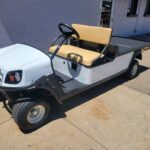 2024 Cushman Shuttle 2 ELiTE - Golf Carts For Sale