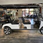 2022 Evolution Electric Vehicles Carrier 6 Plus - Image 2