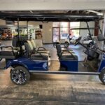 2022 Evolution Electric Vehicles Carrier 6 Plus - Image 2