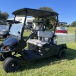 2024 Cushman® Hauler® 1200 EFI Gas - Image 3