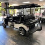 2022 Evolution Electric Vehicles Carrier 6 Plus - Image 3