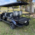 2024 Evolution Electric Vehicles Carrier 6 Plus - Image 5