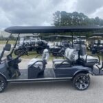 2022 Evolution Electric Vehicles Carrier 6 Plus - Image 4