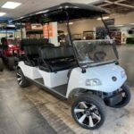 2022 Evolution Electric Vehicles Carrier 6 Plus - Image 7