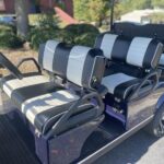 2022 Evolution Electric Vehicles Carrier 6 Plus - Image 7