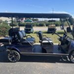 2022 Evolution Electric Vehicles Carrier 6 Plus - Image 8