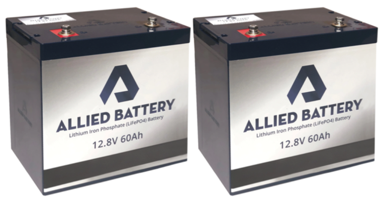 12V Lithium Golf Cart Batteries, Pack of 2 (24V) - Golf Carts Canada