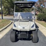 2021 Star EV Sirius 4+2 - Image 10