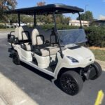 2021 Star EV Sirius 4+2 - Image 9